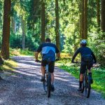Two cyclists riding mountain bikes along a scenic forest trail on a sunny day.