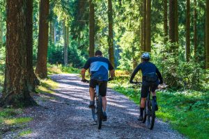 Two cyclists riding mountain bikes along a scenic forest trail on a sunny day.