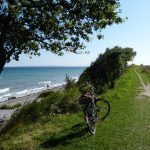 sea, coast, bike, mecklenburg, baltic sea, bicycle, path, trail, road, coastline, seaside, ocean, nature, summer