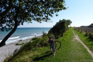 sea, coast, bike, mecklenburg, baltic sea, bicycle, path, trail, road, coastline, seaside, ocean, nature, summer